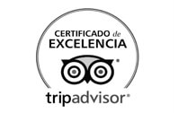 Trip Advisor